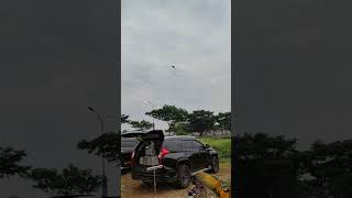 Severe macaw.. skill freefly