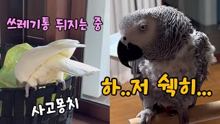 오늘도 혼나는 김몸모