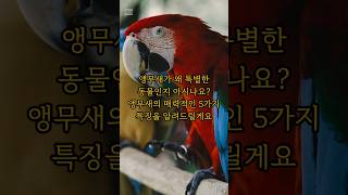앵무새 치명적인 매력에 빠져 보세요