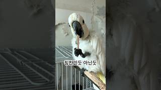 주택 철거 반장님으로 근무하던 시절 ⛑️ #2018년