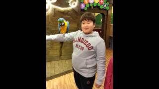 빅~ 앵무새와 함께