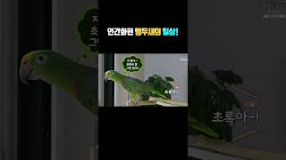 별이가 아빠에게 던진 충격적인 말