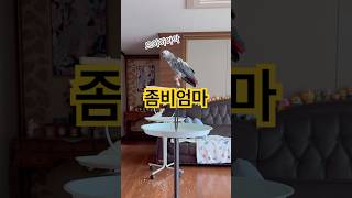 아니 이걸 왜 합치는건데  #김루이