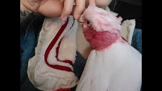 그간 영상을 못올렸던 이유