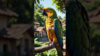 #동물 #감동 #감동실화 #흥미로운 #사랑 #앵무새 #이야기