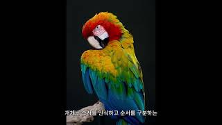 앵무새에 대한 놀라운 사실 3가지