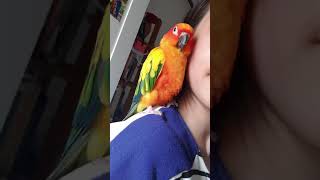 눈파먹는 썬코뉴어