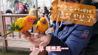 경주 버드파크, 보리 분양의 결정적 계기가 된 썬코뉴어에 반한 날