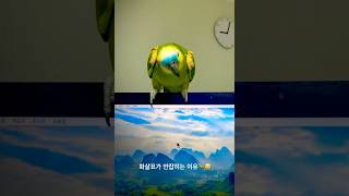 화살표가 안잡히는 이유 parrot concentrat…