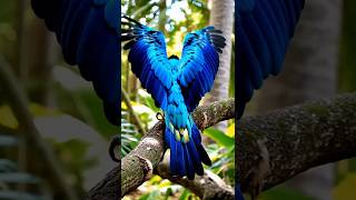 A Wonderful Blue Macaw Meets ‘…