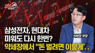 현대차, 삼성전자 미워도 다시 한번 기대 해볼까? 약세…