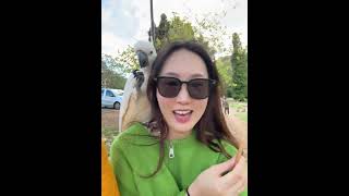 시드니 야생 코카투앵무새 너무 귀엽당 ㅠㅠ#앵무새 #코…