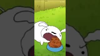 코뉴어 브이로그