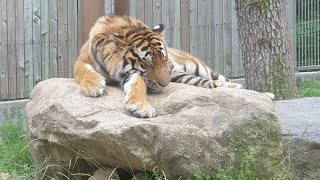 동물원 사진 모음