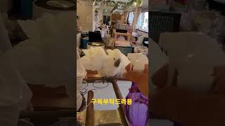 목욕하는 엄브렐라코카투 짱구 #shorts