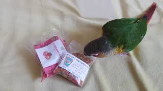 모지에게 새로운 먹이를 주는데...