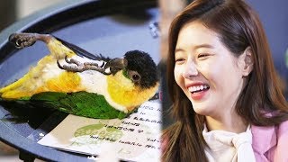 팔불출 박하나, 루키 뒤집기 장기에 ‘미소 폭발’ @살짝 미쳐도 좋아 14회 20180204