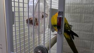 썬코뉴어 똑똑함 &quot;500배&quot;