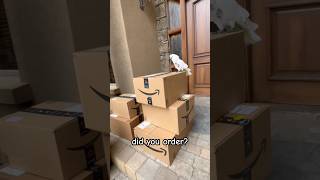 My parrot learned to talk to Alexa  #cockatoo #parrot #amazon #talkingparrot #funny