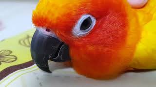 20170927 썬코뉴어 얼빡샷