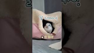 두 가지 의미로 ‘더 러브’한(?) 아침 인사 #the…