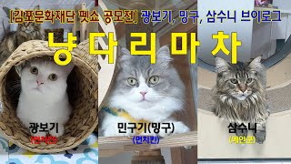 김포문화재단 펫쇼 공모전 광보기 밍구 삼수니 브이로그