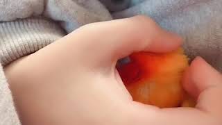 휴먼쓰 손길 .. 잠이온다