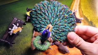 야생동물 / 독수리 토끼 공작새 코카투 부엉이 비버 개…