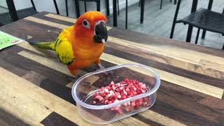 아삭바삭 동결건조 딸기맛 먹방