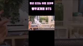 누나의 손 동작에 맞춰 춤추는  BTS앵무새   듀컵코…