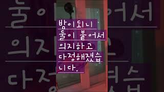 카이큐앵무새의 원망