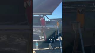 앵무새가 말을 한다고? 실화임ㅋㅋㅋ