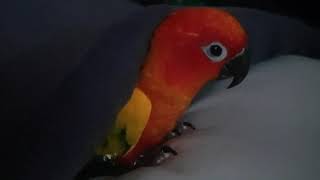 Good night(예쁜꿍꼬~~♡)