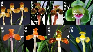 1월14일 좋은 종자목들로 준비했습니다