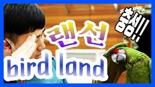 말하고 연기하는 앵무새! 대전동물원 버드랜드~ Feat 희귀앵무새 홍금강, 청금강, 밀리터리마카우