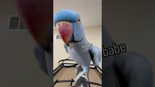 Rio’s favorite phrase #cuteani…