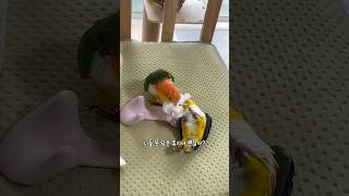 개구진 카이큐들~