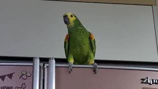 태양이가 부릅니다 니가 왜 거기서 나와 @태양이네 @아…