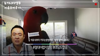 [대구앵무새농장]뉴기니아(eclectus)앵무새를 처음 입양하신분들을 위한 영상입니다.