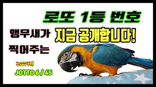 앵무새가 뽑아주는 로또 1등 번호 #7