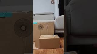 한스마카우.뽀미.박스놀이