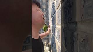 꽁패.운동코치 뽀미.한스마카우.2025.4.1