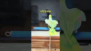 아마존 앵무새 아리 갔다오께.. #parrot #앵무새 #birds #말하는 앵무새 #귀염둥이