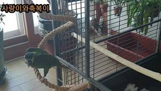 옐로우카라마카우 사랑이와축복이~^^