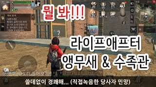 [라이프애프터 #10] 청금강 앵무새 &amp; 호화 …