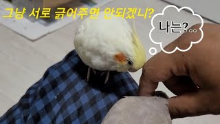 루 사총사랑 노는중 루루 루열 루야 루팡