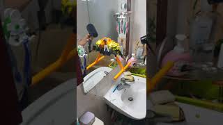 썬코뉴어 털말리기 !