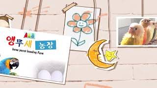 우리나라에도 썬코뉴어 농장이 있다.