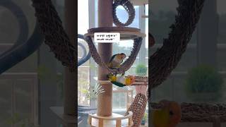 우리집 서열 1위는 카이큐인데?!