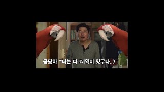 금당아 &quot;너는 다 계획이 있구나...?&quo…